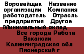 Воровайщик › Название организации ­ Компания-работодатель › Отрасль предприятия ­ Другое › Минимальный оклад ­ 30 000 - Все города Работа » Вакансии   . Калининградская обл.,Пионерский г.